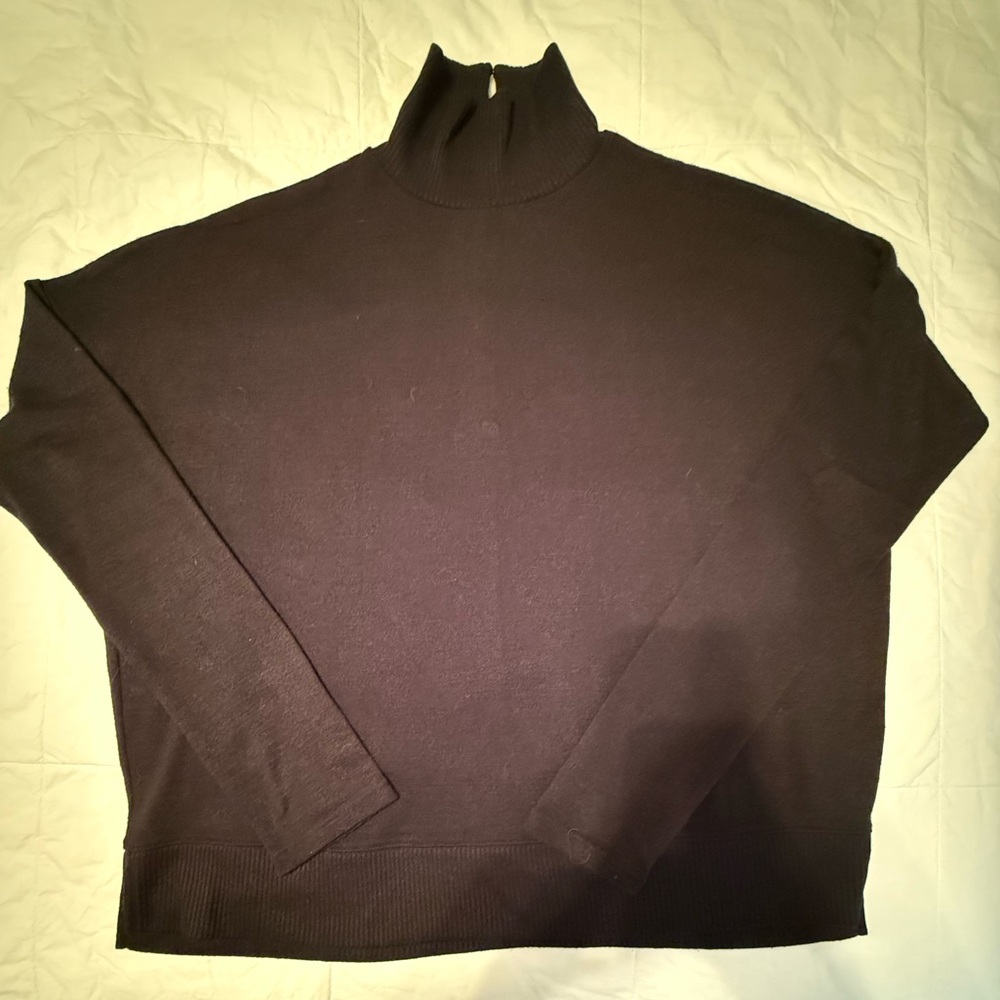 Rag and Bone Women’s Black Turtleneck Sweater with Button Up  Back Collar